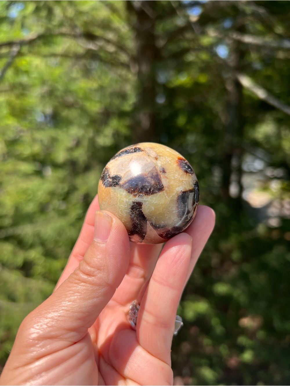 Septarian (2) sphere | crystal ~ uv reactive